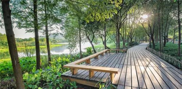 龍馬潭公園即將全新打造，預計年底重新開放(圖11)