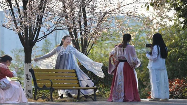 告市民：踏青賞花何必遠(yuǎn)行，內(nèi)江城區(qū)這里滿山斗艷爭(zhēng)奇(圖11)