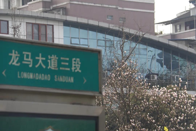 約！龍馬潭的這些春游打卡地美不勝收(圖28)