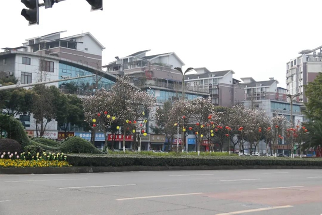 約！龍馬潭的這些春游打卡地美不勝收(圖29)