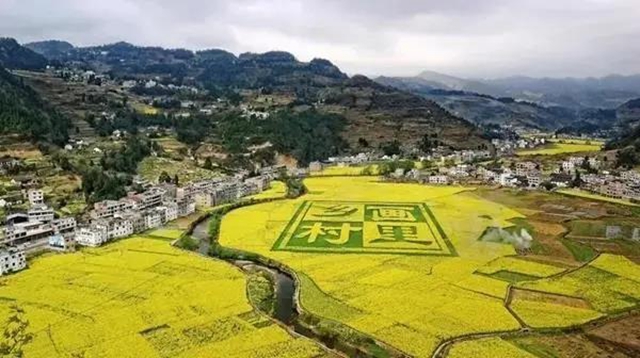 瀘州這些賞花地，可以約會春天(圖1)
