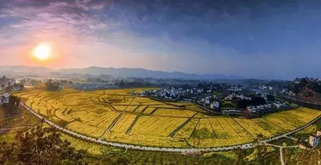 瀘州這些賞花地，可以約會春天(圖2)