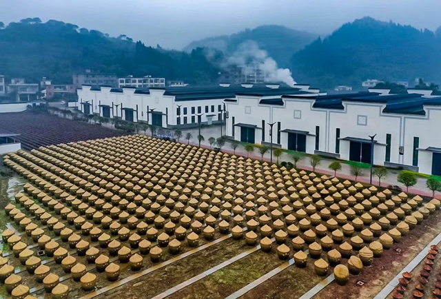 愛(ài)上合江先市的理由，都在這份地方特產(chǎn)名單里！(圖5)