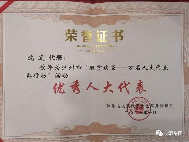 聚焦兩會丨瀘州市政協(xié)委員沈連積極建言獻(xiàn)策，成績斐然榮獲雙獎(圖2)