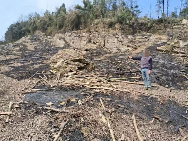 屏山又有6人被拘留！這件事情千萬重視……(圖5)