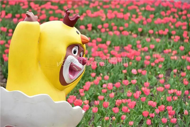 驚艷！600萬株郁金香爭相綻放，就在內(nèi)江城邊邊！(圖6)