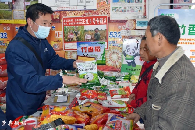 沐浴春風(fēng)鬧春耕 自貢這里37萬畝水稻耕播緊鑼密鼓(圖5)