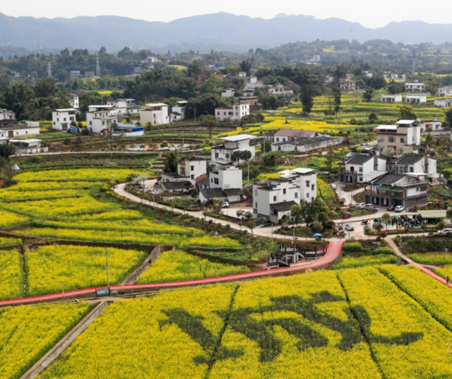 @瀘州人，陽(yáng)春三月，請(qǐng)收下這份環(huán)保賞花攻略(圖8)