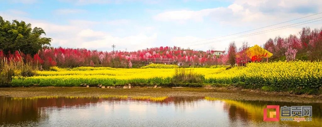這么美的自貢，你不點(diǎn)進(jìn)來看看？(圖18)
