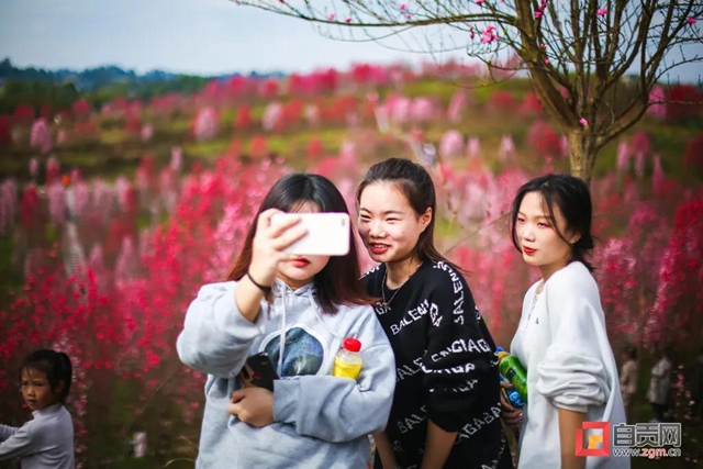 這么美的自貢，你不點(diǎn)進(jìn)來看看？(圖19)
