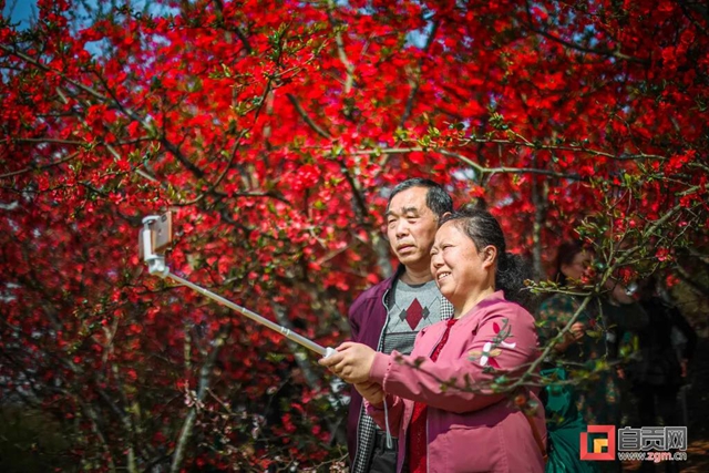 這么美的自貢，你不點(diǎn)進(jìn)來看看？(圖5)