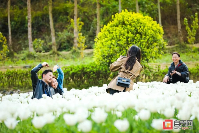 這么美的自貢，你不點(diǎn)進(jìn)來看看？(圖24)