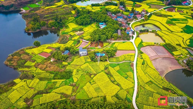 這么美的自貢，你不點(diǎn)進(jìn)來看看？(圖28)
