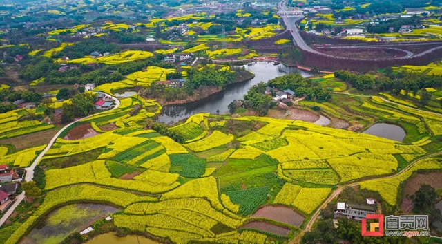 這么美的自貢，你不點(diǎn)進(jìn)來看看？(圖29)