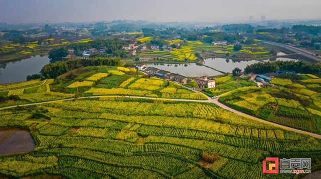 這么美的自貢，你不點(diǎn)進(jìn)來看看？(圖27)