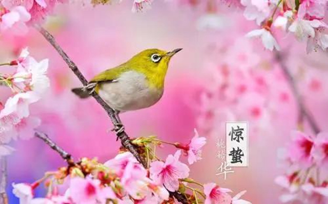 【警惕】今天開(kāi)始，養(yǎng)生要注意預(yù)防這五類疾病！