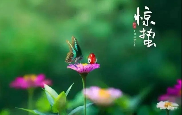 【警惕】今天開始，養(yǎng)生要注意預(yù)防這五類疾??！(圖3)