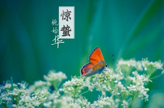 【警惕】今天開始，養(yǎng)生要注意預(yù)防這五類疾?。?圖4)