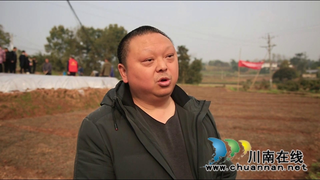 合江優(yōu)質(zhì)稻示范基地唱響春耕序曲(圖10)