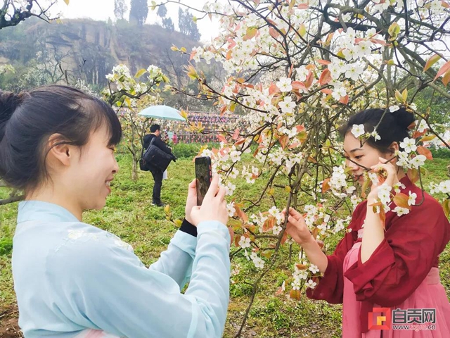 自貢三多古寨花都開了！就等你(圖4)
