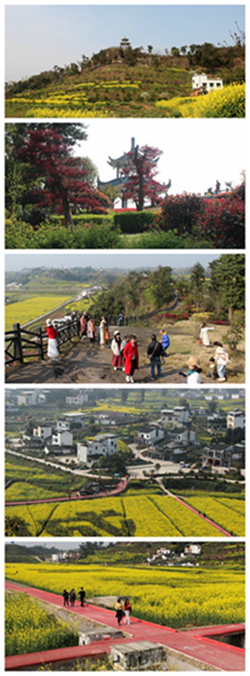 瀘縣喻寺醉美鄉(xiāng)村旅游，來美麗譚壩村享受春天的芬芳！(圖4)
