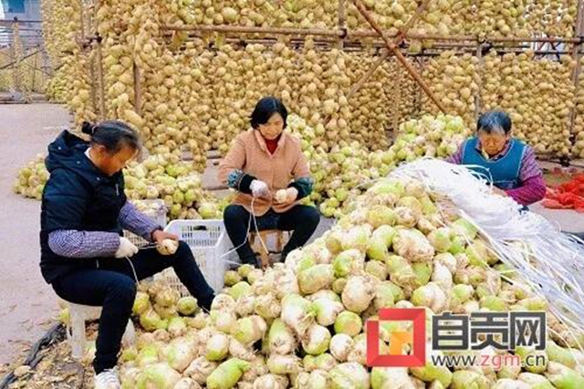 自貢的大頭菜，還能這樣耍......(圖1)