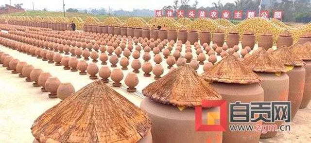 自貢的大頭菜，還能這樣耍......(圖2)