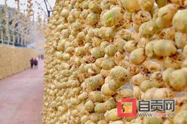 自貢的大頭菜，還能這樣耍......(圖7)
