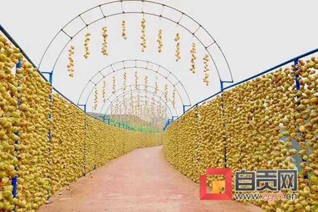 自貢的大頭菜，還能這樣耍......(圖11)