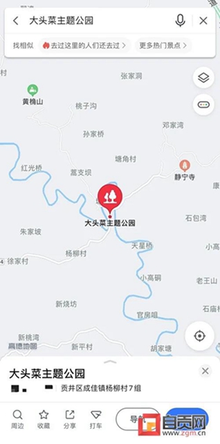 自貢的大頭菜，還能這樣耍......(圖12)