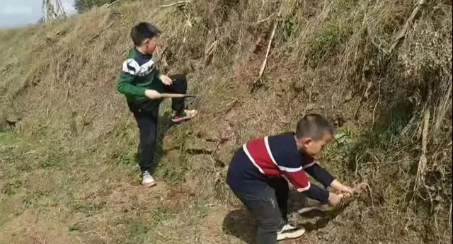 春暖花開，合江人挖野菜正當時……(圖5)
