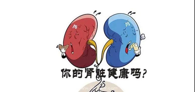 【擴散】關于尿毒癥，你到底了解多少？(圖3)