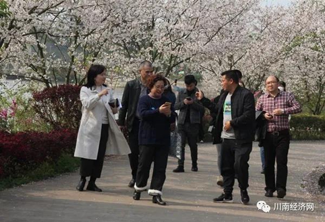 江陽區(qū)組織新媒體從業(yè)人員開展“同心慶華誕.攜手新征程”主題活動(dòng)(圖2)