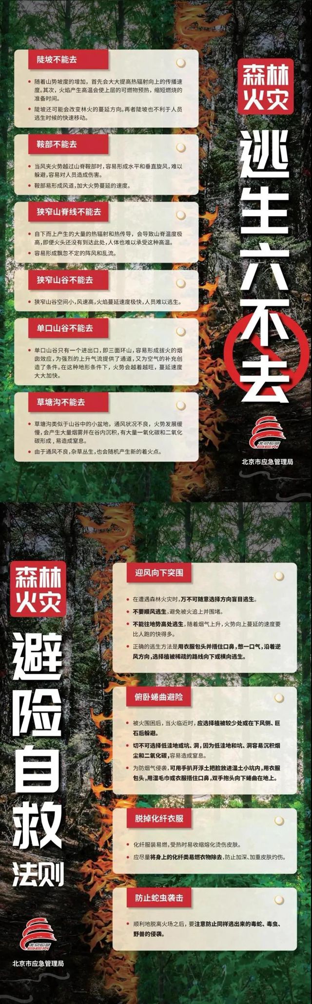 牢記 | 森林火災逃生自救“六不去”(圖1)