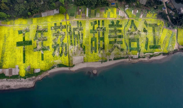 鄉(xiāng)村文化旅游丨萬畝油菜花海上央視，瀘州這些地方也值得打卡(圖5)