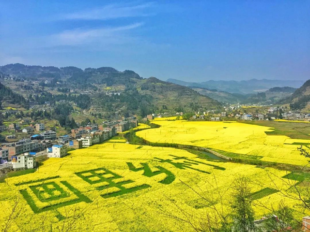 鄉(xiāng)村文化旅游丨萬畝油菜花海上央視，瀘州這些地方也值得打卡(圖7)
