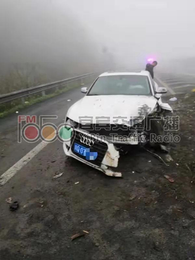 奧迪車在宜賓高速路發(fā)生車禍！司機(jī)卻不見了！警方調(diào)查后發(fā)現(xiàn)……(圖2)