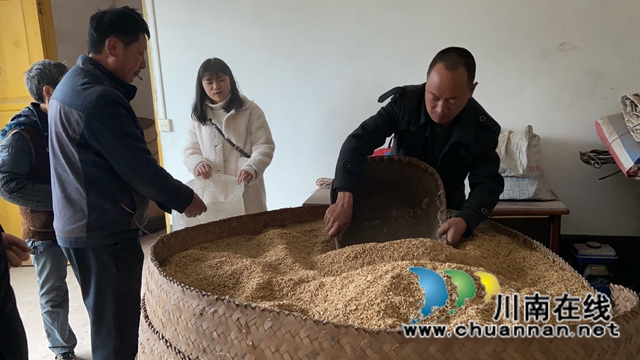 執(zhí)行“谷”事！古藺縣法院為九旬老人執(zhí)行到位拖欠十年的贍養(yǎng)糧(圖2)