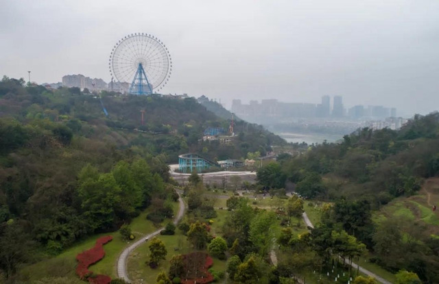 位于城區(qū)！瀘州這處“秘密花園” 等你來圍觀！(圖2)