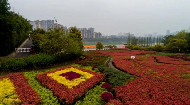 位于城區(qū)！瀘州這處“秘密花園” 等你來圍觀！(圖5)