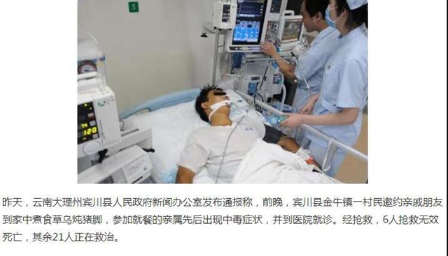 【注意】用烏頭類草藥泡水泡酒，一喝就死？