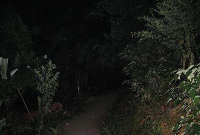 毒蛇提前出關？瀘州2人被咬傷住院……(圖8)