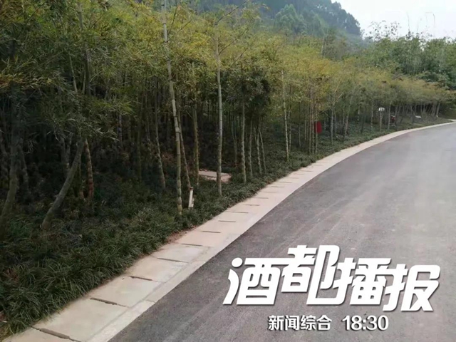 約10000畝！宜賓三江新區(qū)這個(gè)公園預(yù)計(jì)“五一””開園(圖2)