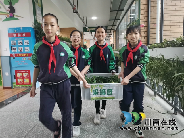 瀘縣：師生種出有機菜 義賣捐贈一份愛(圖3)
