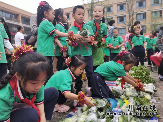 瀘縣：師生種出有機菜 義賣捐贈一份愛(圖5)