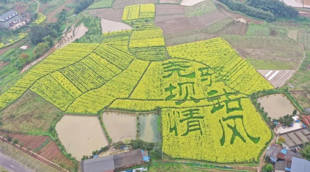 全省100個賞春點及精品線路，瀘州有這些(圖16)