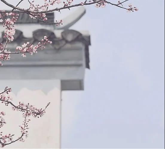 【春分】今天起，這3種食物不能再吃了！(圖5)