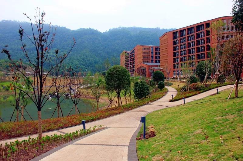 最美還是本部！四川輕化工大學(xué)李白河校區(qū)正式啟用(圖19)