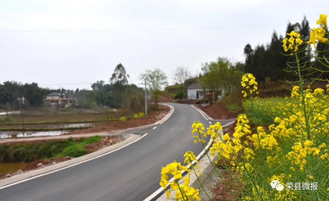 自貢榮縣投入2.5億修路，看看有你的老家嗎？(圖3)
