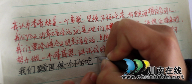 龍馬潭區(qū)瀘化小學(xué)：講好“青林”故事，傳承紅色基因(圖9)